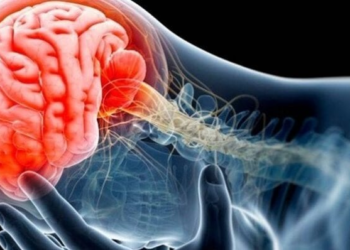 Lei nº 12.808 de Durval Ferreira, garante diagnóstico precoce da paralisia cerebral em recém-nascidos na rede privada de João Pessoa